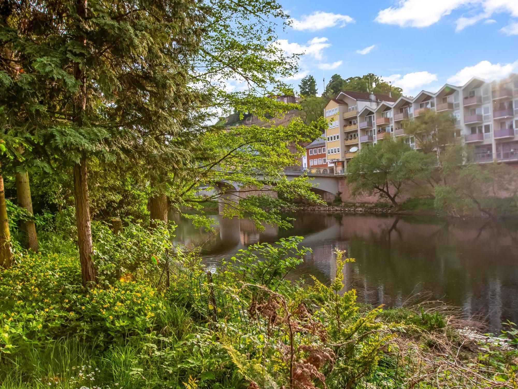 Altstadt Apartment Am Wasser Mit Parkplatz Und Grossem Garten Bad Kreuznach Exteriör bild