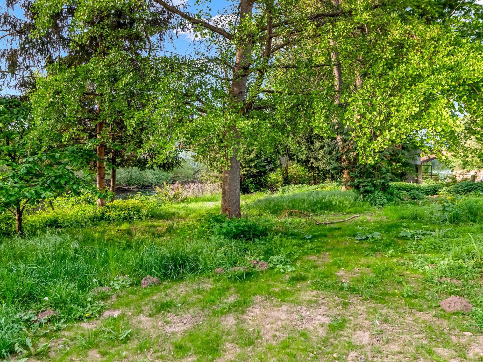 Altstadt Apartment Am Wasser Mit Parkplatz Und Grossem Garten Bad Kreuznach Exteriör bild